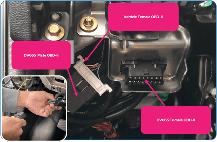 DV6 QSG Fig MN, Picture